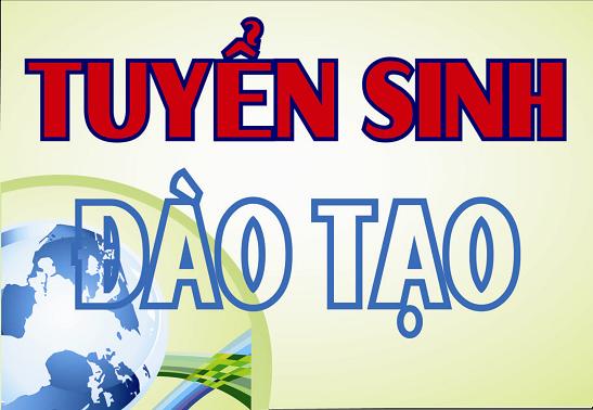 Không có ảnh